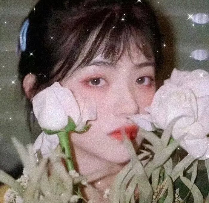 完美伴侣2025